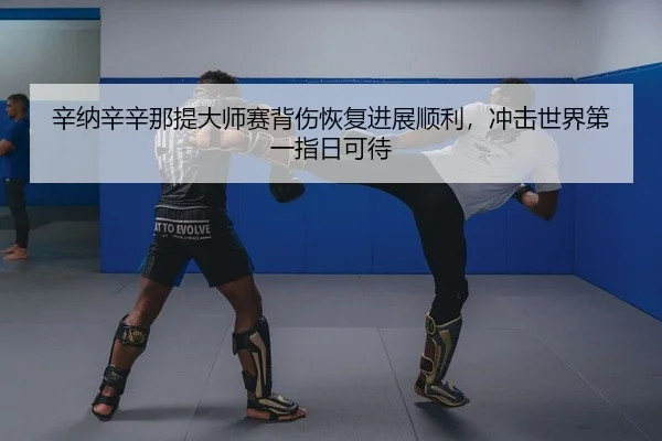 辛纳辛辛那提大师赛背伤恢复进展顺利，冲击世界第一指日可待